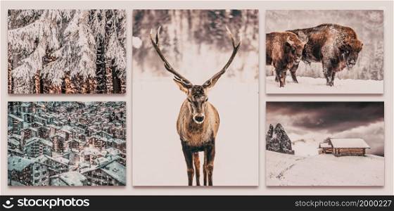 collection of magical winter scenes, mountain chalets, noble deer, snowy firs - original images to be found in my gallery