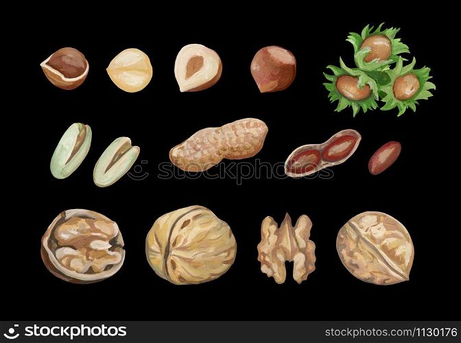 Collection of nuts isolated on a black background. Realistic drawing with acrylic paints. Walnuts, hazelnuts, peanuts, pistachios.