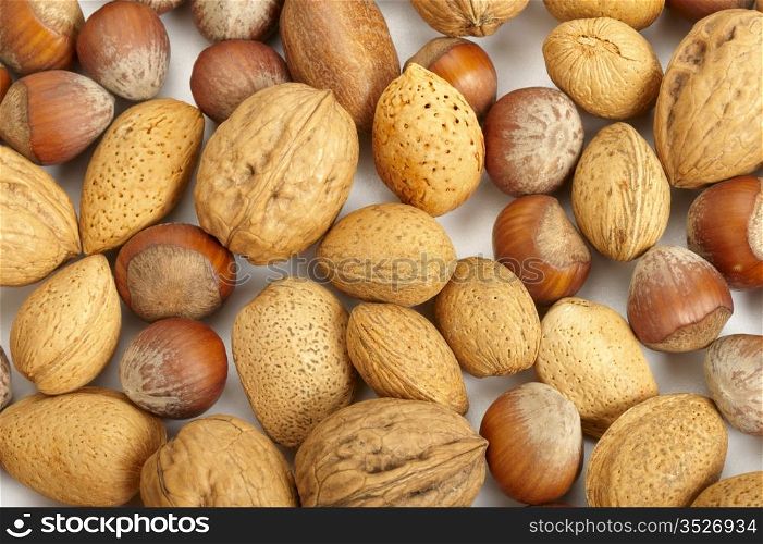 Collection of pecan nuts, hazelnuts and walnuts