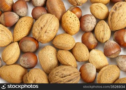 Collection of pecan nuts, hazelnuts and walnuts