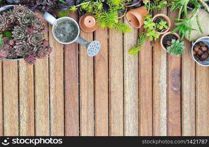 collection of succulent plant on wooden terrace