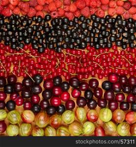 Collection of variety fruits (currants, gooseberries, raspberries, plums). Fruit background.Top view.