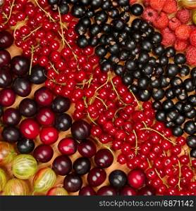 Collection of variety fruits (currants, gooseberries, raspberries, plums). Fruit background.Top view.