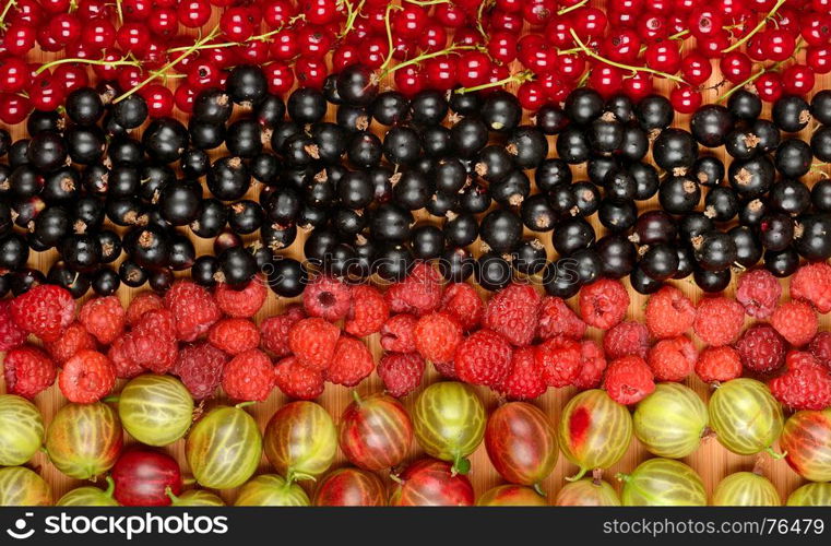 Collection of variety fruits (currants, gooseberries, raspberries, plums). Fruit background.Top view.