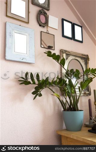 collection of various blank black frames on wall with modern decoration, green plant in a lovely home retro design