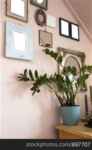 collection of various blank black frames on wall with modern decoration, green plant in a lovely home retro design