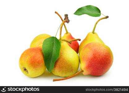 collection pears isolated on white background