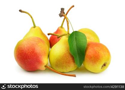 collection pears isolated on white background