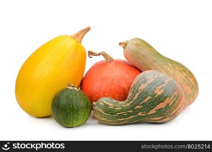 collection pumpkin isolated on white