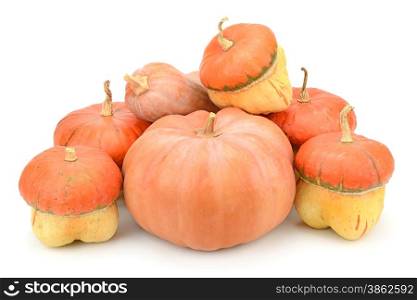 collection pumpkin isolated on white background