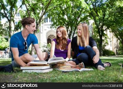 College students studying on university campus ground