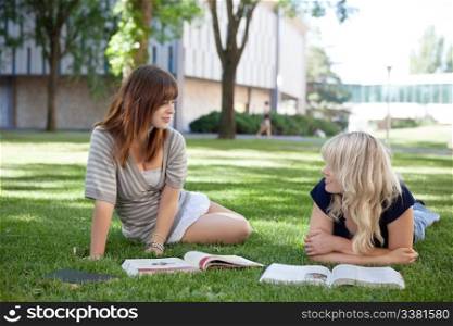 College students studying together on college campus
