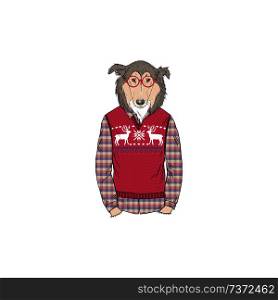 Collie dog dressed up in jacquard pullover, anthropomorphic animal illustration. animal dressed up in, anthropomorphic animal illustration