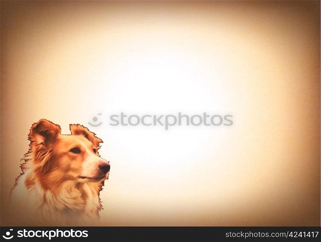 Collie Dog Image on Animal Lovers Writing Card