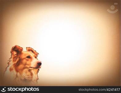 Collie Dog Image on Animal Lovers Writing Card