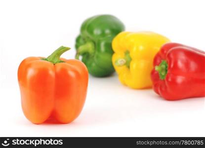 Coloful peppers pattern