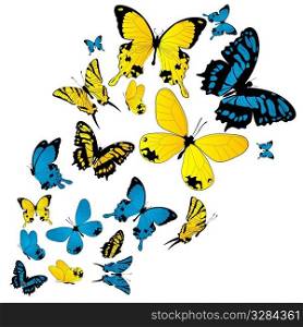 Color butterflies background, isolated object over white