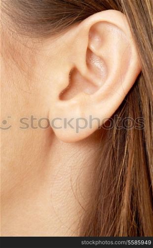color closeup picture of brunette girl ear