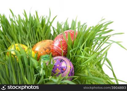 color easter eggs in nest from green grass on white