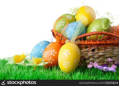 color easter eggs with green grass on the white
