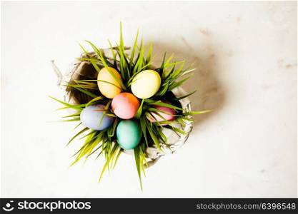 Color eggs in the grass, copy space for Easter greetings. Flowers and eggs