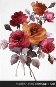 Color illustration of flowers in watercolor paintings. flowers