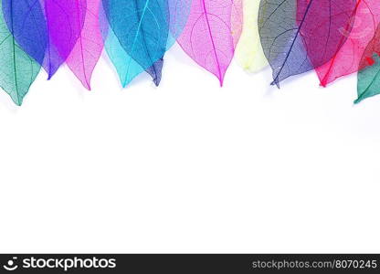 color leaves on a table, Macro leaves seamless background texture