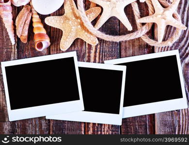 color sea shells and starfish, summer background