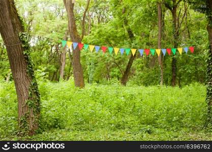 Color triangular flags with white dots on the nature background. Color bunting flags