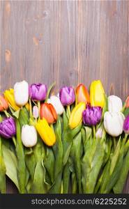 Color tulips on the rustic gray wooden board. Spring concept with copy space. Color tulips on the board