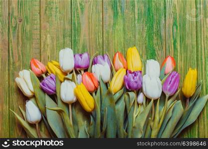 Color tulips on the shabby chic green wooden board. Spring concept with copy space. Color tulips on the board