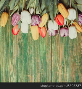 Color tulips on the shabby chic green wooden board. Spring concept with copy space. Color tulips on the board