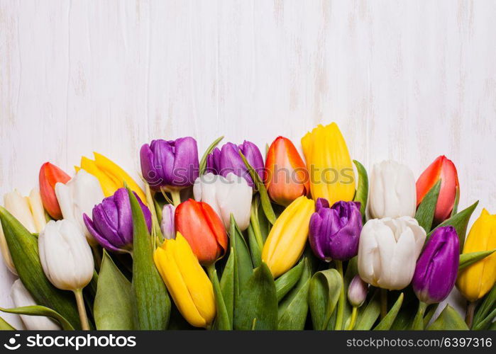 Color tulips on the shabby chic white wooden board. Spring concept with copy space. Color tulips on the board