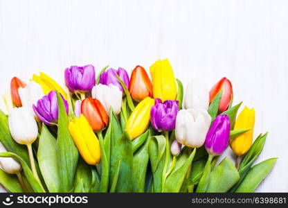 Color tulips on the shabby chic white wooden board. Spring concept with copy space. Color tulips on the board