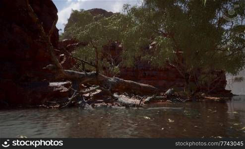 Colorado river with red stones and trees