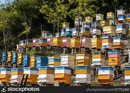 Colored beehives on slope