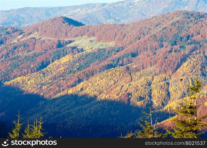 Colored mountain slopes in autumn Carpathian. Morning misty view.