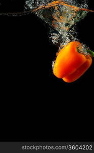 Colored orange paprika in water splashes on black background