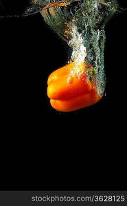 Colored orange paprika in water splashes on black background