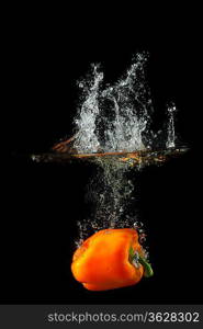 Colored orange paprika in water splashes on black background