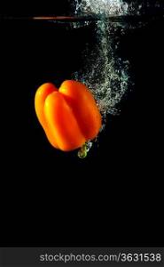 Colored orange paprika in water splashes on black background