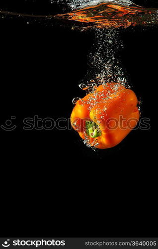 Colored orange paprika in water splashes on black background