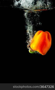 Colored orange paprika in water splashes on black background