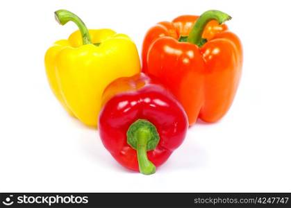 Colored pepper isolated on a white background