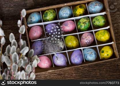 Colored quail eggs with feather and catkins on wood. Colored quail eggs 