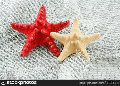 Colored Starfish on a Fishing Net Background