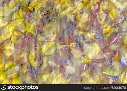 Colorful abstract movement pattern, vibrant textured background