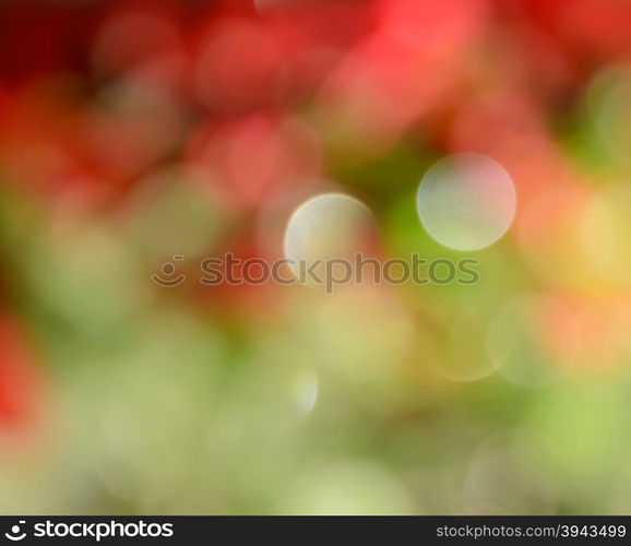 Colorful abstract red and green bokeh background of Christmas lights