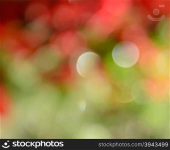 Colorful abstract red and green bokeh background of Christmas lights
