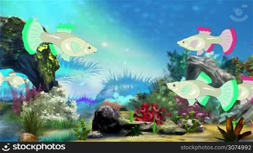 Colorful Aquarium Fish swimming in fish tank. Handmade animation in UHD.